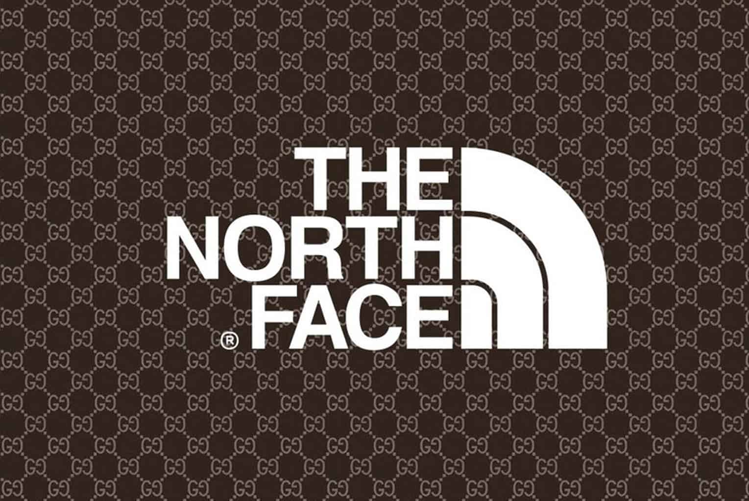 the north face and gucci collaboration